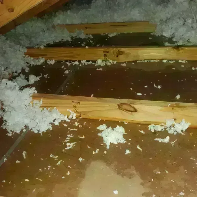 Attic Water Damage in Haynesville, LA